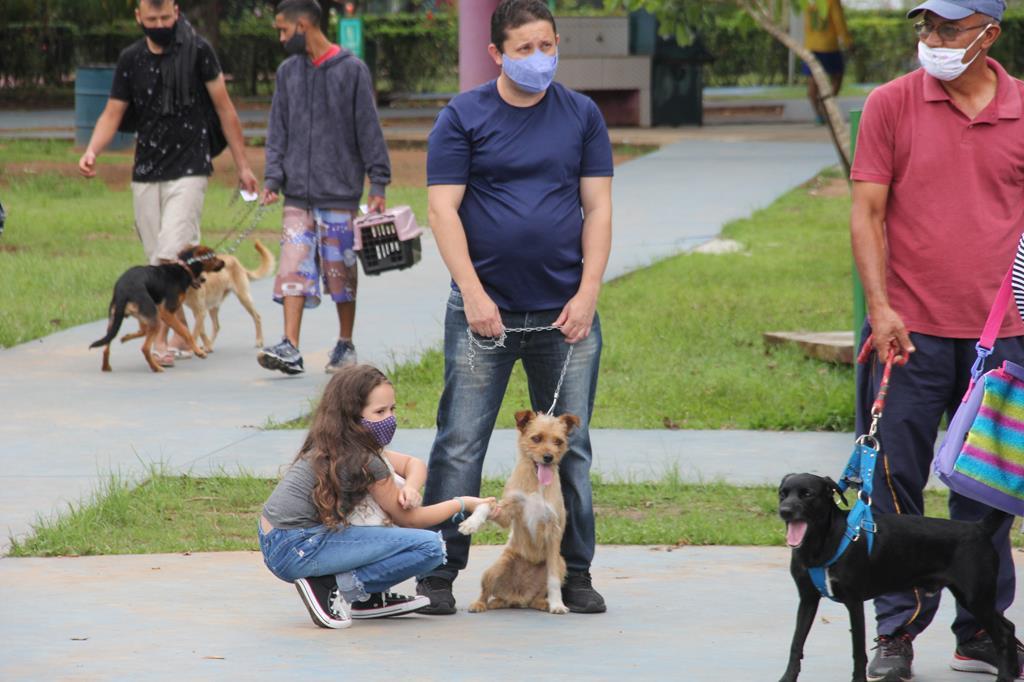 Nova campanha de castração gratuita de pets abre agendamento no dia 30