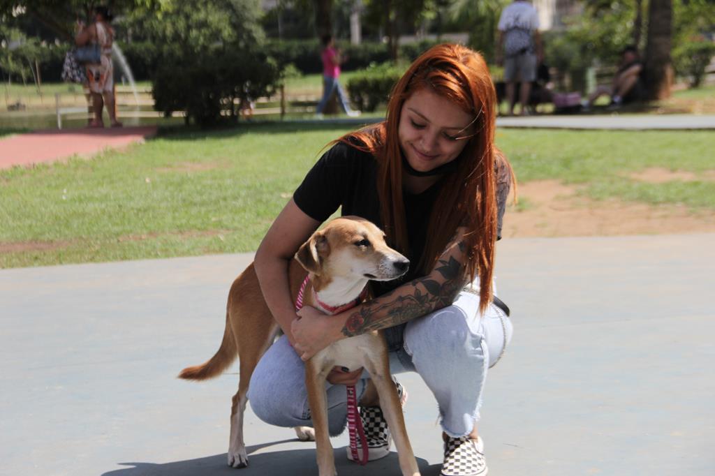 Sábado é dia de Feira de Adoção de Cães no Parque Dom José