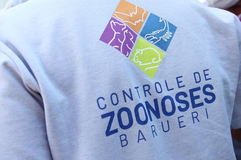 <strong>Esporotricose: saiba como se defender dessa zoonose</strong>