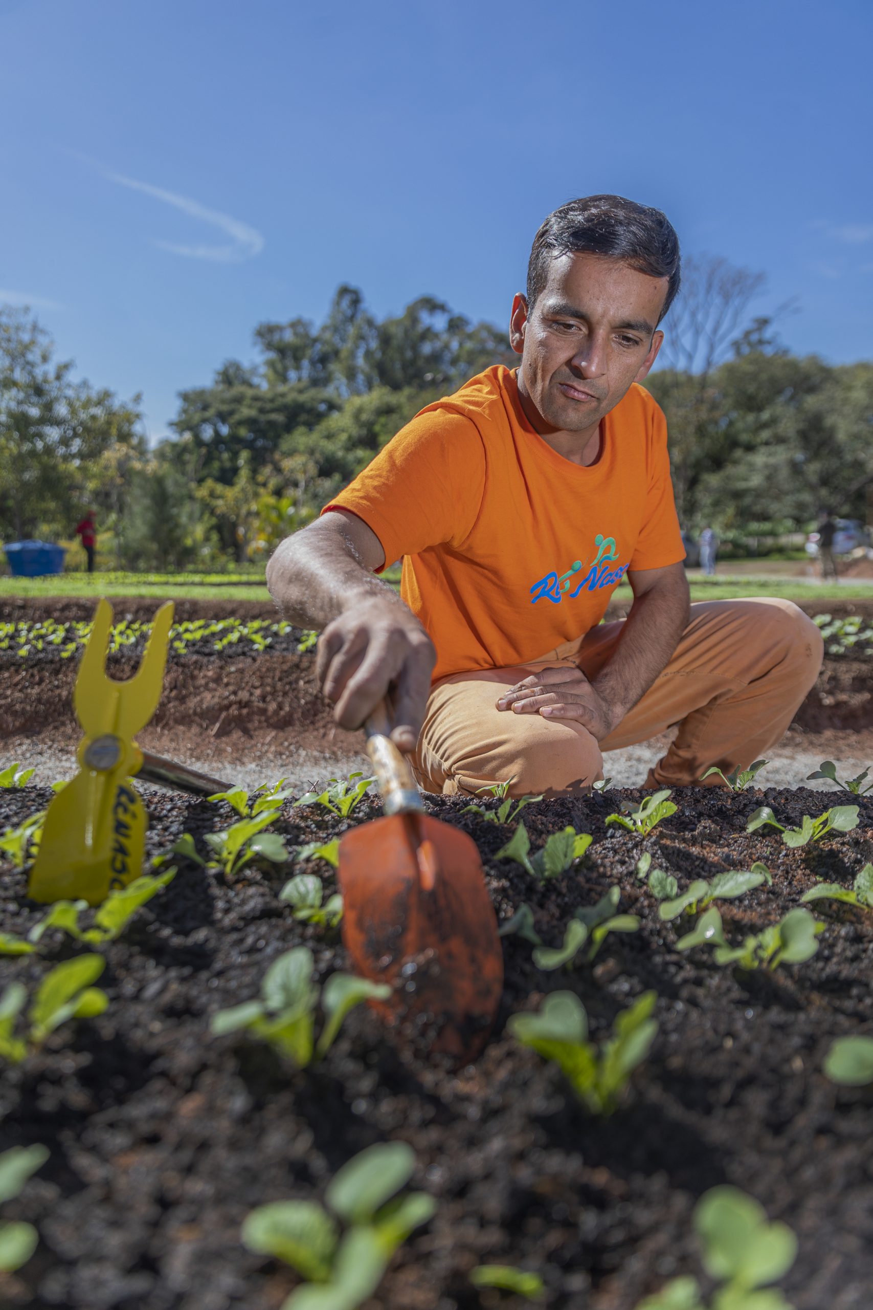 <strong>Horta da Gente: verde na colheita e na esperança de um recomeço</strong>
