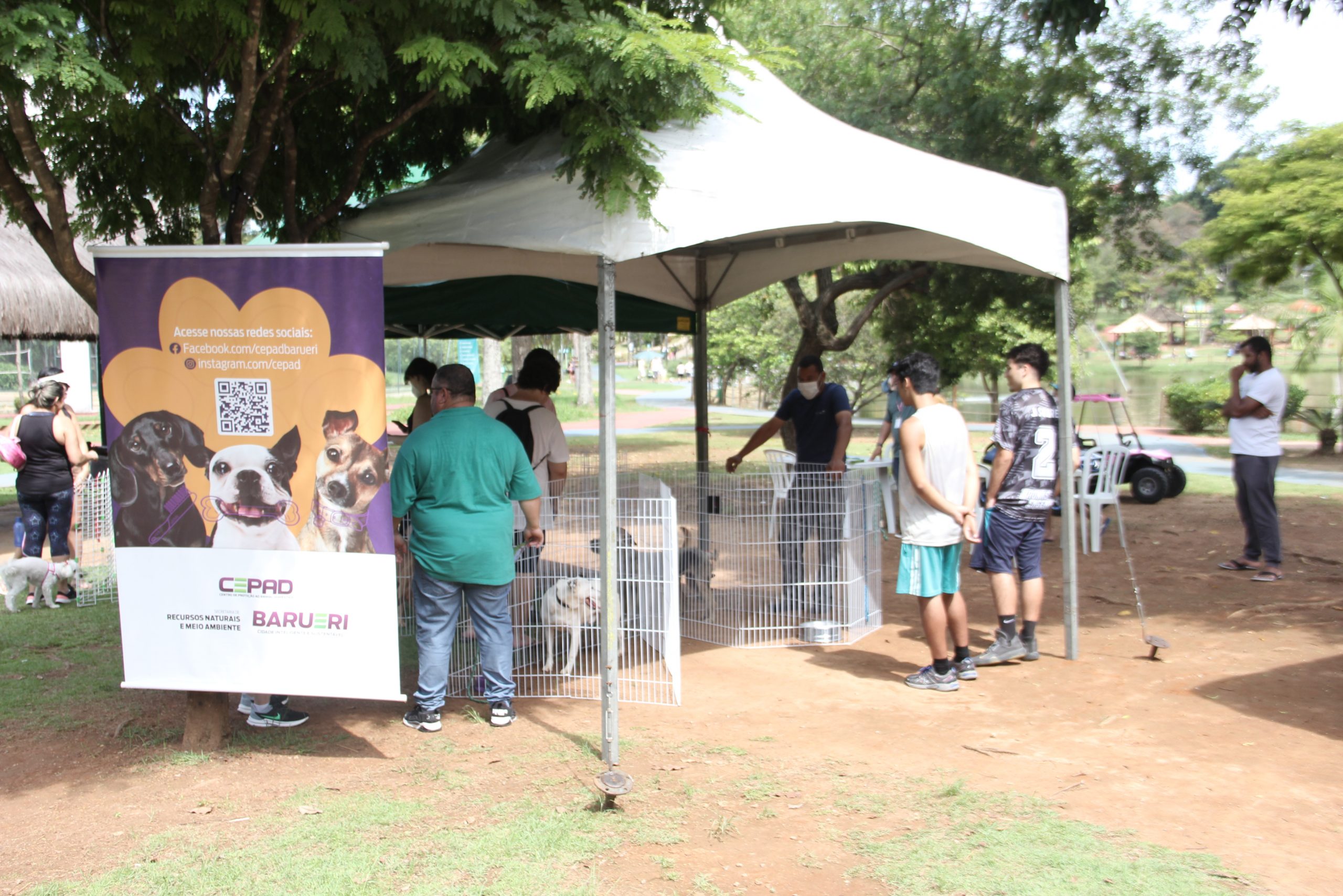 <strong><br>Parque Dom José recebe Feira de Adoção de Cães no próximo final de semana</strong>