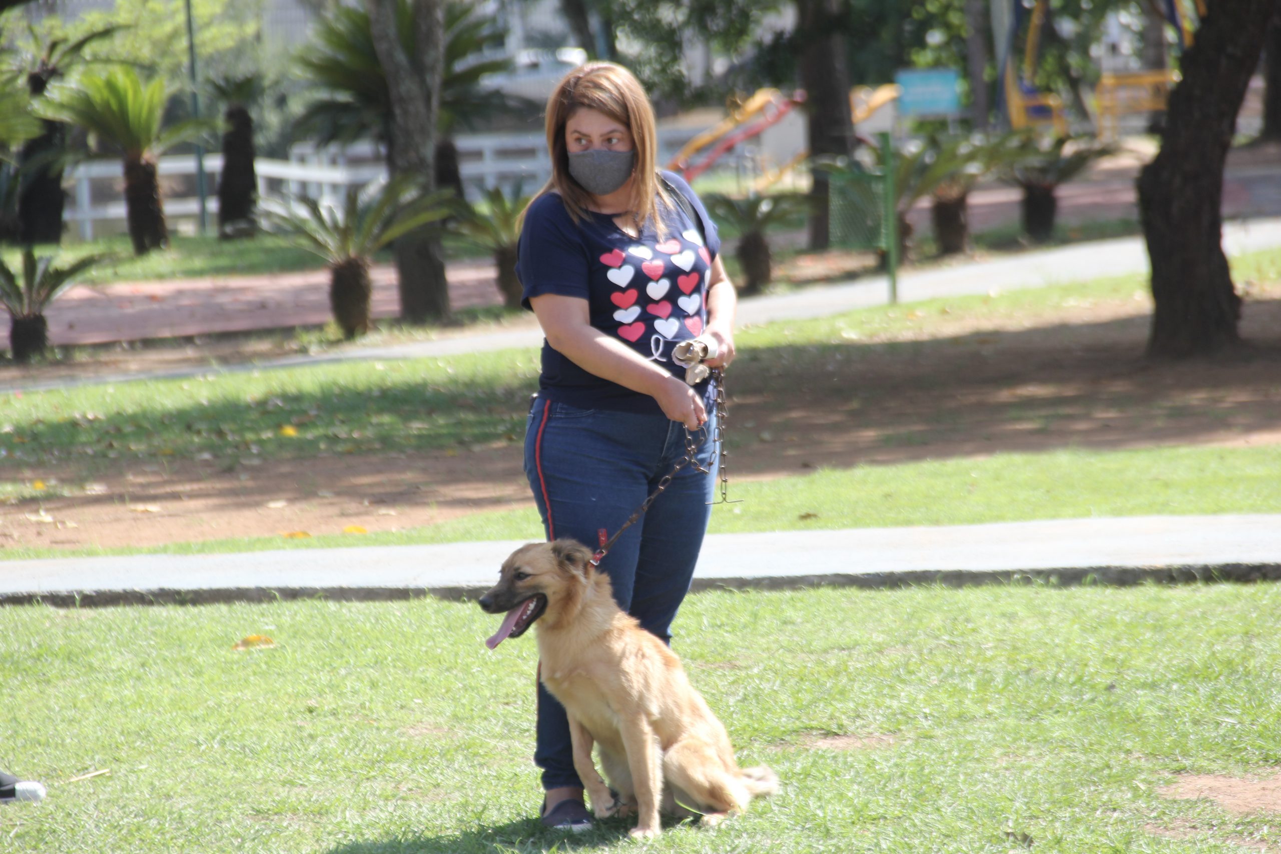 <strong>Em setembro a Feira de Adoção de Cães&nbsp;</strong><strong>acontece todos os sábados e domingos</strong>