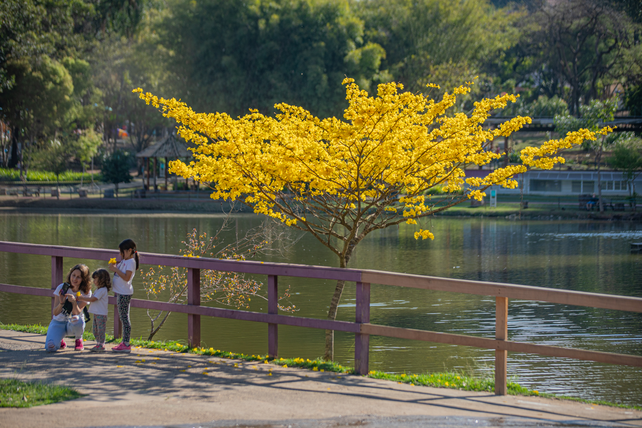 <strong>Vem feriado prolongado por aí, confira o que abre e fecha na cidade</strong>&nbsp;