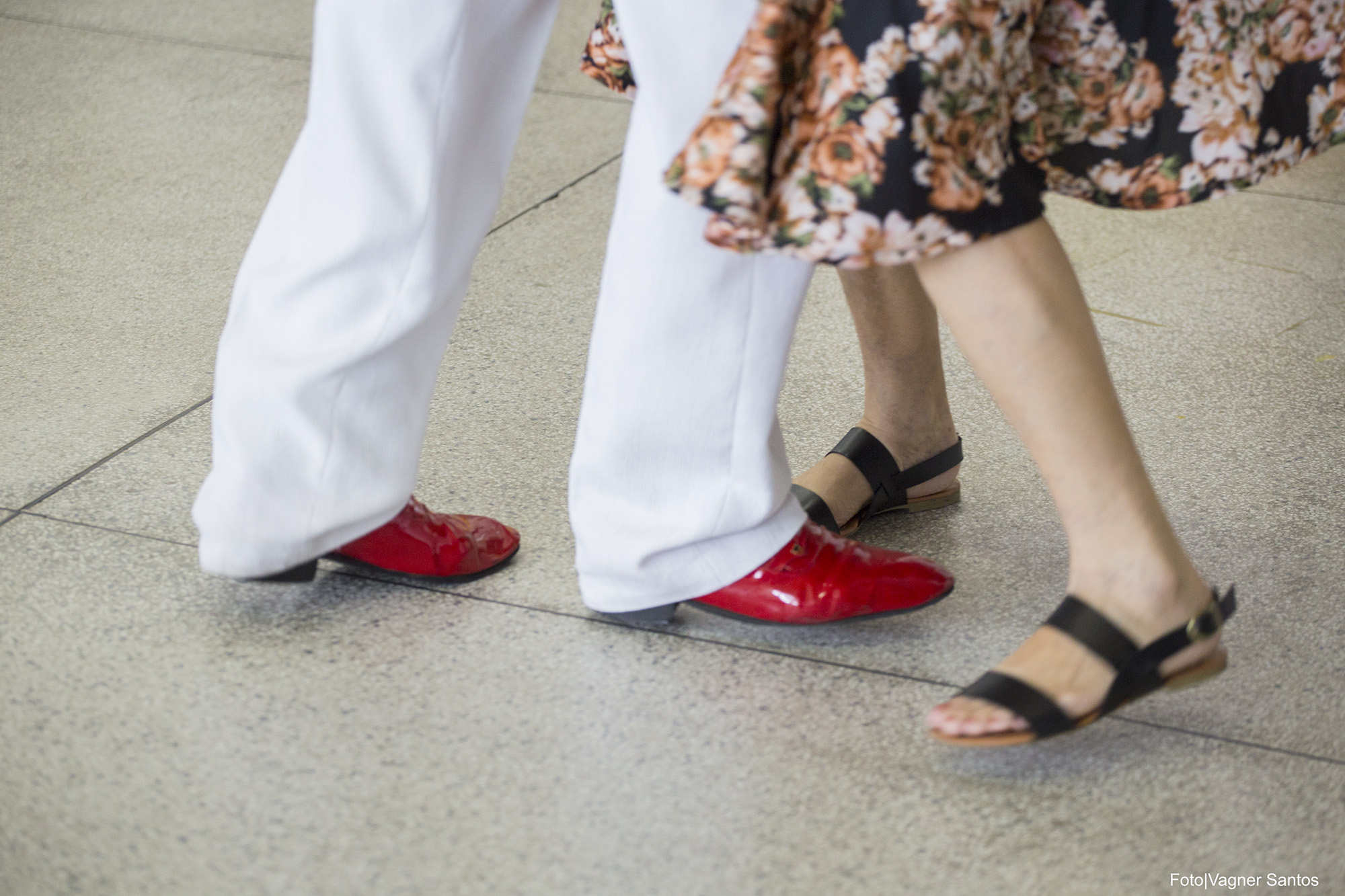 Cotia vai selecionar idosos para o projeto ‘Talentos Partilhados’