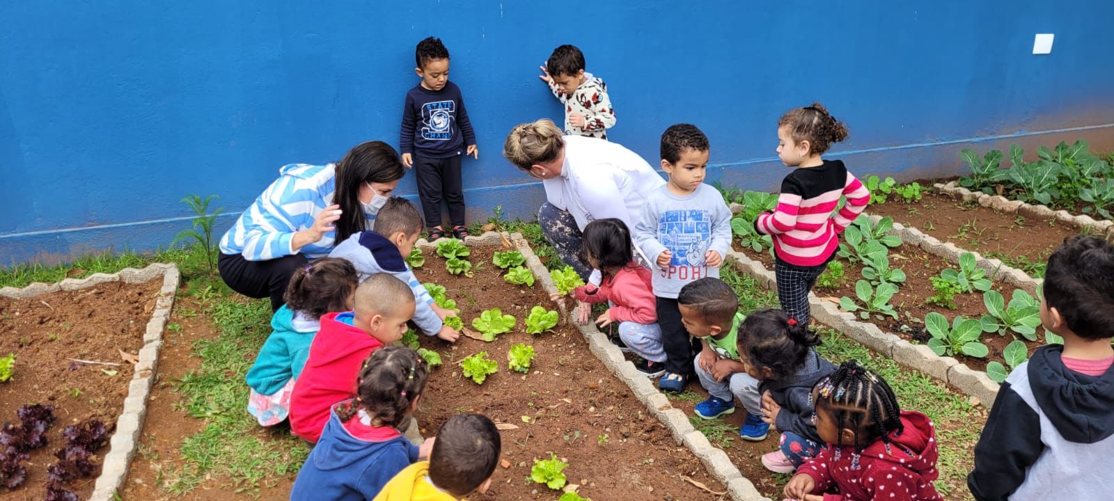 <strong>Alunos do C.E Maria Tereza Pastana fazem a primeira colheita do programa ‘Horta nas Escolas’</strong>