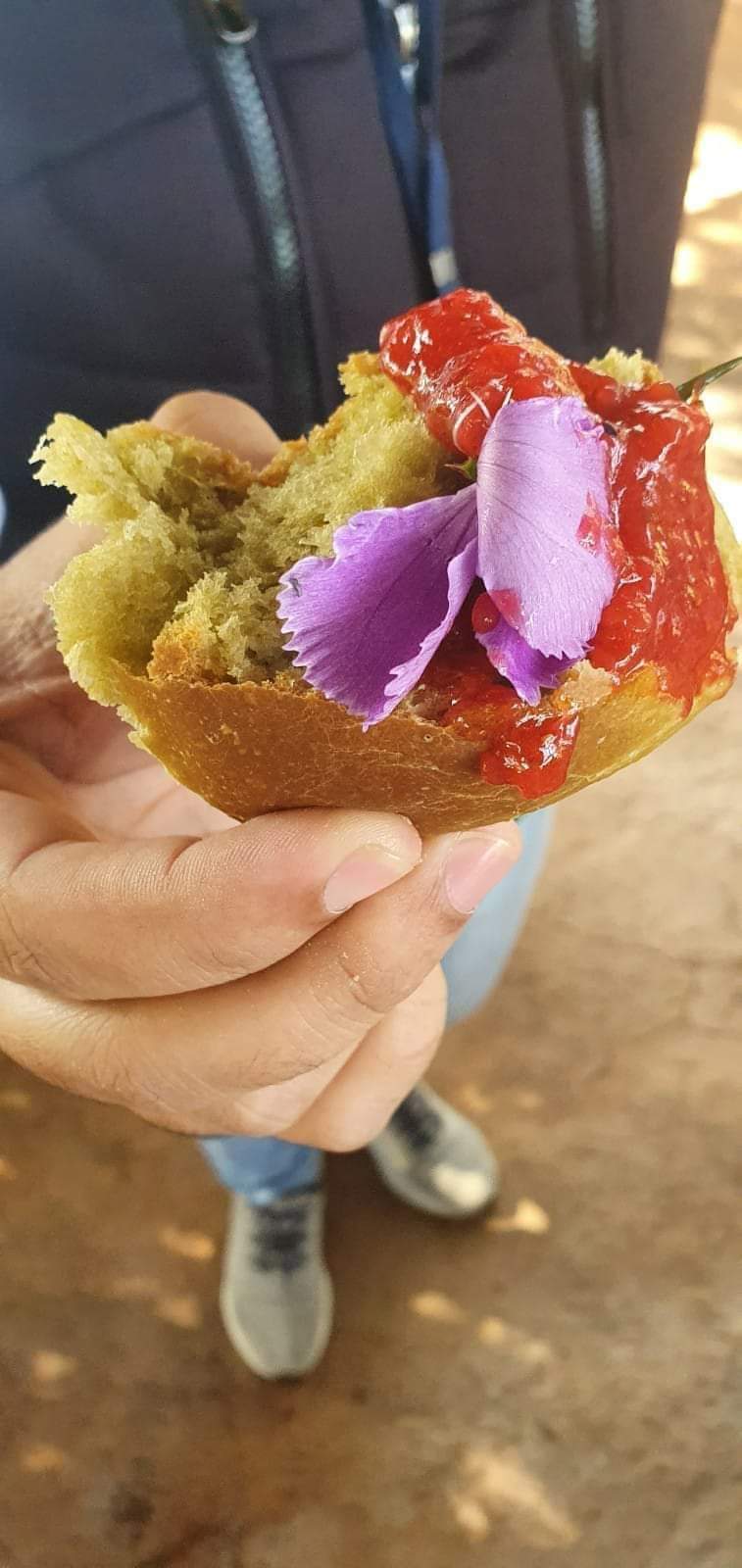 <strong>Plante sua “carne”! Abertas as inscrições para a 2ª edição da Oficina ‘Do Mato Para o Prato’</strong>