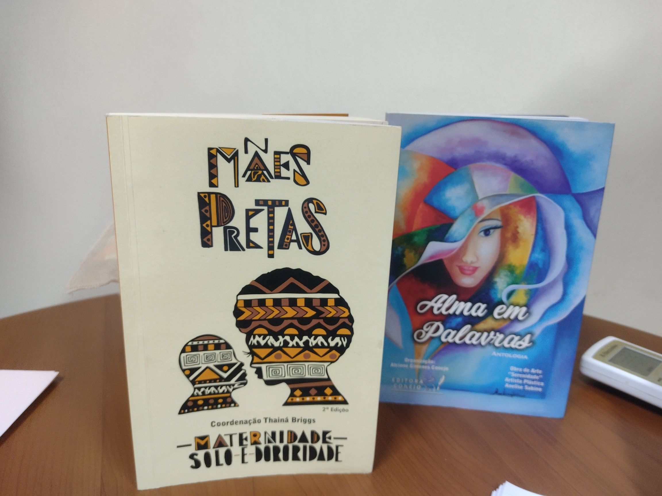 <strong>Luta e resistência: seminário abre agenda dos 16 dias de ativismo</strong>
