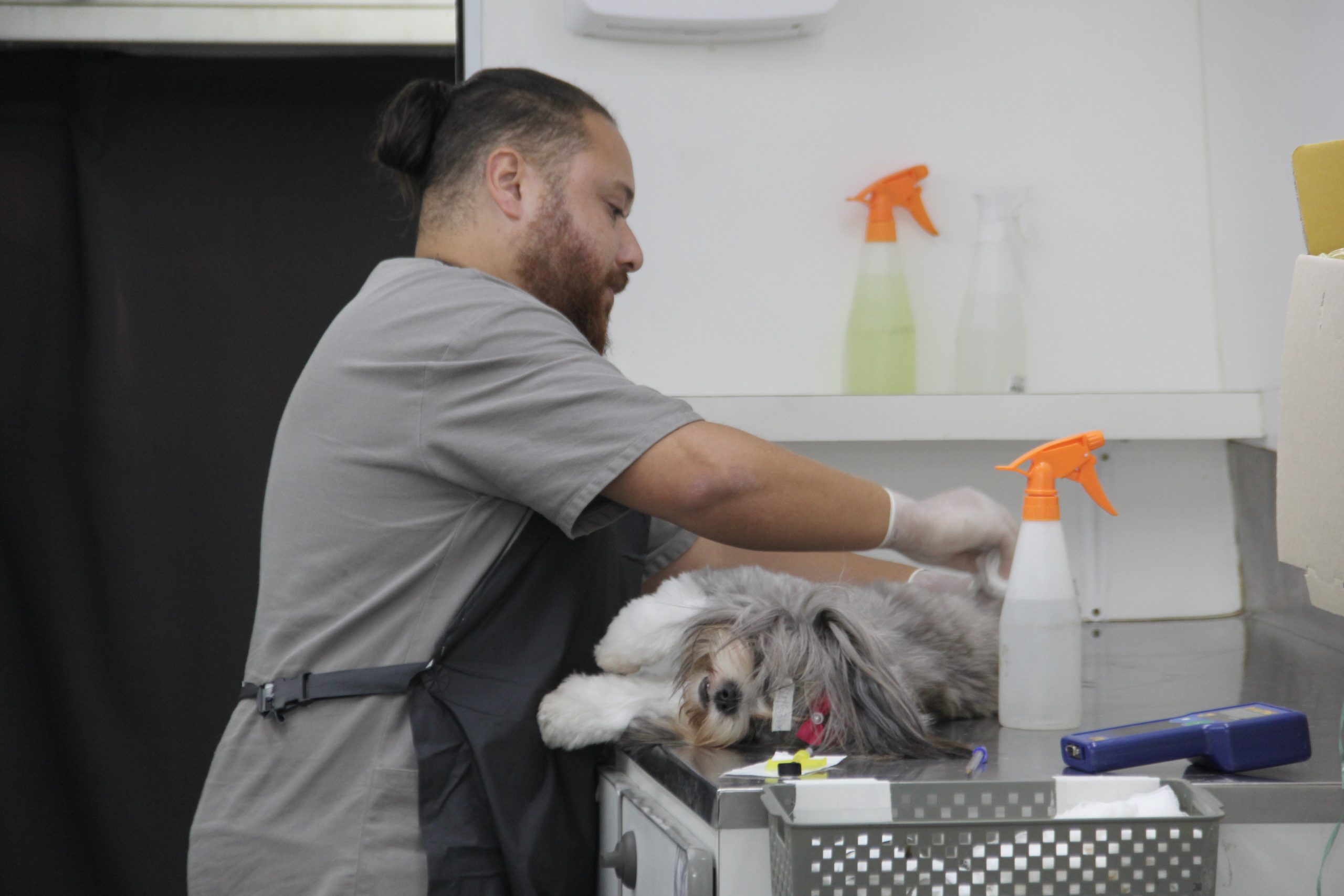 <strong>Agenda para castração de pets abre dia 21</strong><strong></strong>