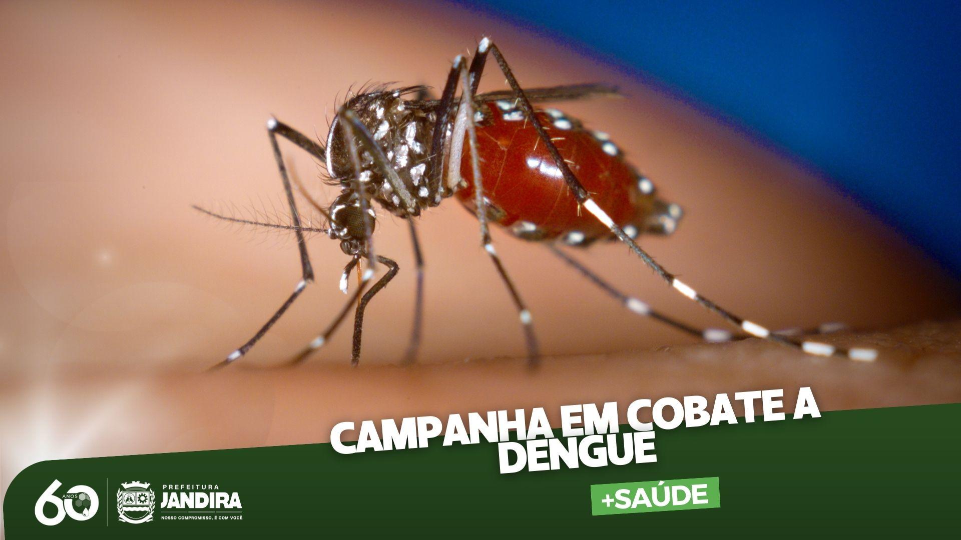 Saúde de Jandira realiza campanha com diversas ações em combate à dengue